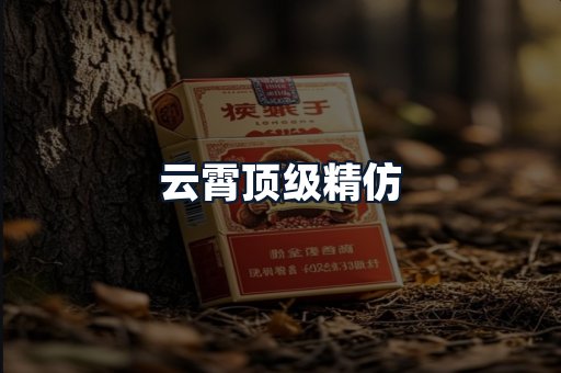 云霄顶级精仿